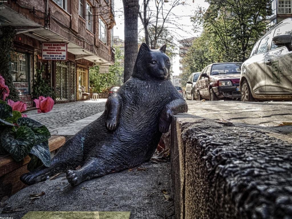 ការបង្ហាញព័តមាន: យ៉ាងដូចម្តេចដើម្បីបង្កើនការទាក់ទងជាមួយអ្នកប្រើប្រាស់